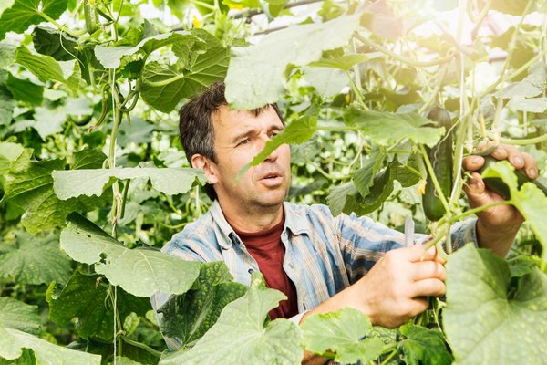 Manger pour deux : les super-aliments indispensables pendant la grossesse