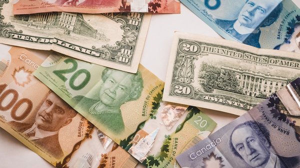 Quel salaire pour Black Card ?
