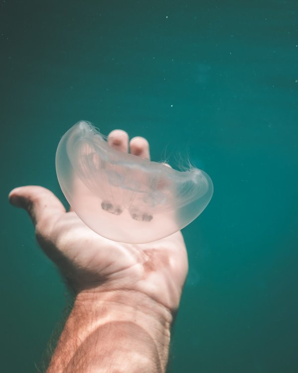 Quels pays seront sous l'eau ?