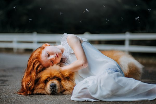 Qui est le chien le plus beau du monde ?